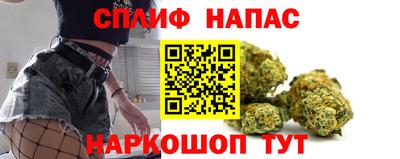 стафф Краснознаменск