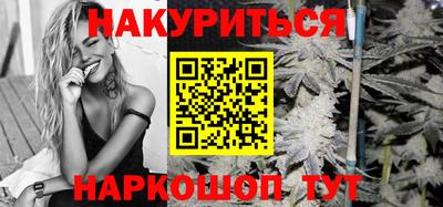 стафф Краснознаменск